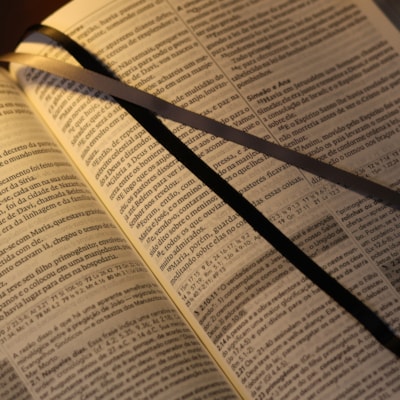 image_c99554e2-5862-4499-a028-f26ae9542588