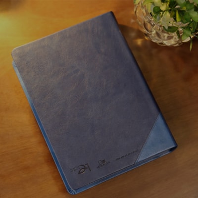 image_85cf3a0f-032a-4146-934a-cd3fd44e6016