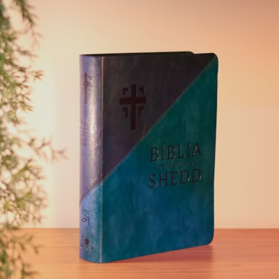 image_ad7ed88f-1433-4147-ba70-d4378a773333