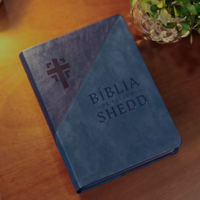 image_2ad01b83-2c2b-4f4c-9c86-038852fa22e9