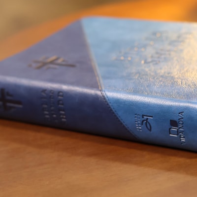 image_74ca97af-afd3-4bc8-ac5b-5274fd06aaa8