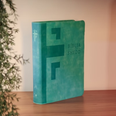 image_265f9c24-916b-48e5-a9b7-9c6608720034