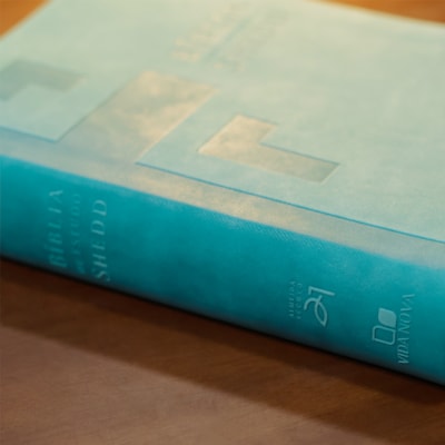 image_840aa3a9-12a0-43bb-be8f-6cdddc98a57b