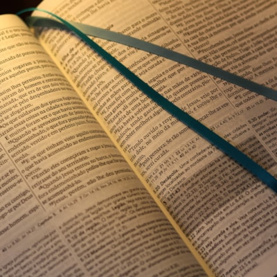 image_e32b9719-7787-4dc9-9c9d-b23b18451405