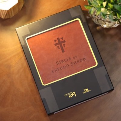 image_3efc7bfa-6b9e-4ebd-814a-77d5baad5cad