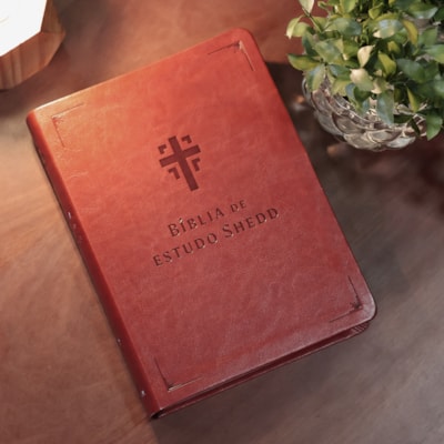 image_3f08243d-bbb8-457a-8591-320e38cac443