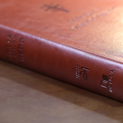 image_b3dc963d-4ad5-4fc1-ad4b-9a5618d58c94