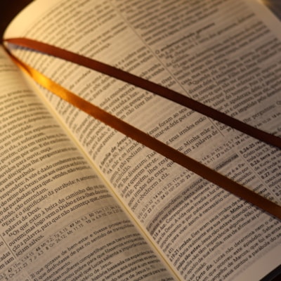 image_4ed8325e-5650-4a14-ac47-9d9c31046db4