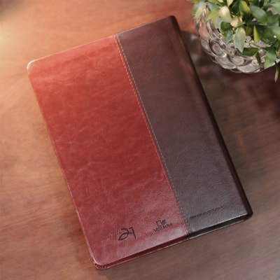 image_47210d0d-18a8-4d74-af9e-e8c0edcef39e