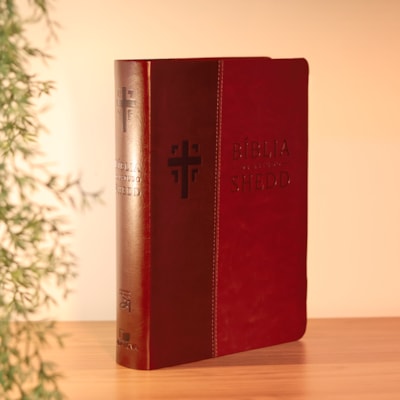 image_9247e5ac-9643-424e-8ed3-ad5c16182674