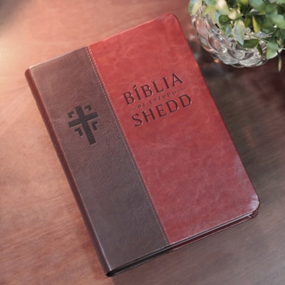 image_2c8e4c27-74ad-47a6-9fb9-1a7b91769940