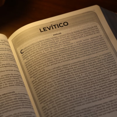 image_81407d75-41dd-4220-bf22-6499f18ba6bb