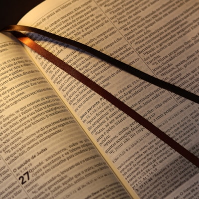 image_98f0842e-b6d8-4511-a183-506c7ecaccc9