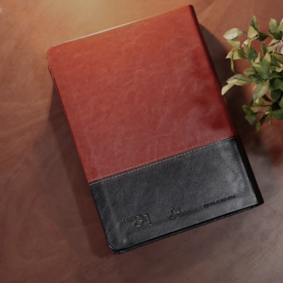 image_c4256a39-002e-4196-a77b-8cbf8cce832e