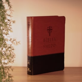Segunda imagem do produto Bíblia de Estudo Shedd | A21 | Couro Sintético Marrom e Preto