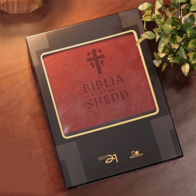 image_3d171f94-a6f6-465f-a109-a7306d62102b