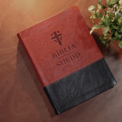 image_9feea29d-1da8-47e8-abbf-b8b7cf08c1bd