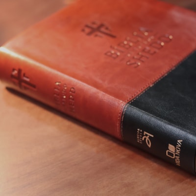 image_618ce9ed-0685-4cd6-ae41-23ad87f0ed95