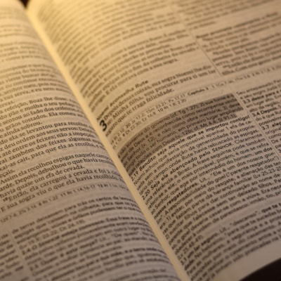 image_91a9e70b-a2a9-40d4-9a9c-4dc96c08cc3f