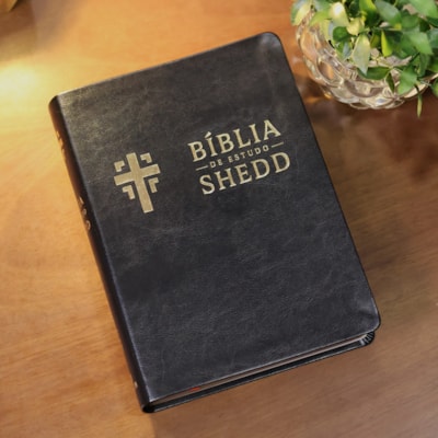 image_94e54e92-476a-4bb9-addb-97c48e33a9bf