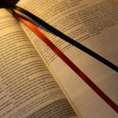 image_81adb46f-b6f0-4b92-ab55-fea61ff2e024