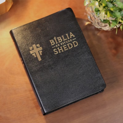 image_fec9f82b-08cd-4162-afae-32f3bf64f900