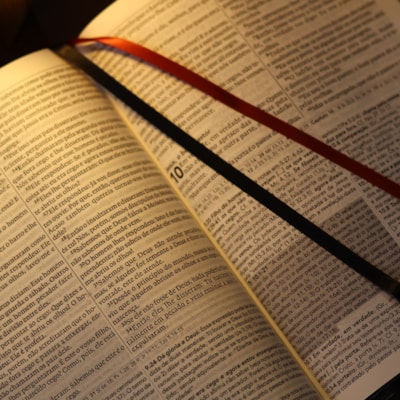 image_cee99348-0926-499b-b76c-cd72f96bbaf7