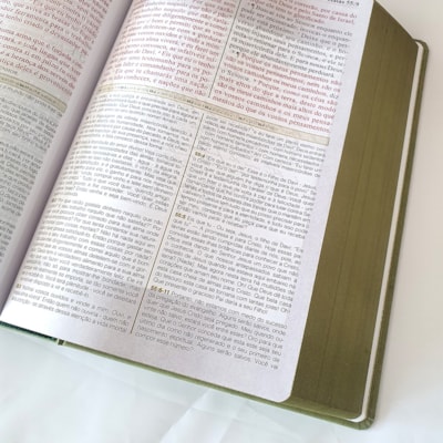 image_474a88e5-b44c-4606-87ea-64caa9568dc3