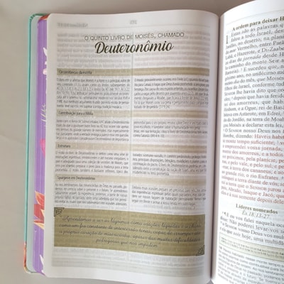 image_92e6fb7b-8281-4725-8802-81195f97f2b7