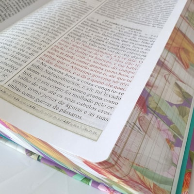 image_d2496cb1-4349-4c79-80dc-270b9e5e92d8