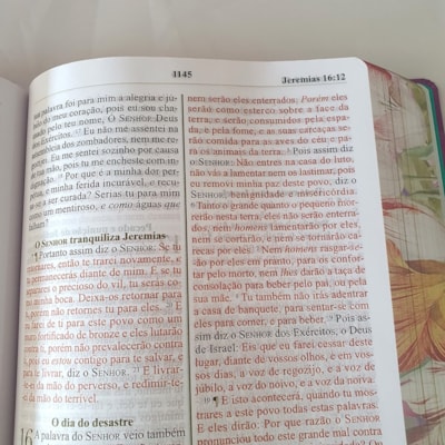 image_d5fdfe2f-222f-4c65-92e2-bb95912f3dd6