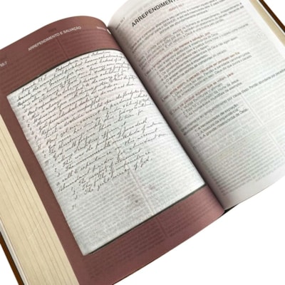 image_838f853c-8c4c-4bd8-95de-9f5e4171ec3c