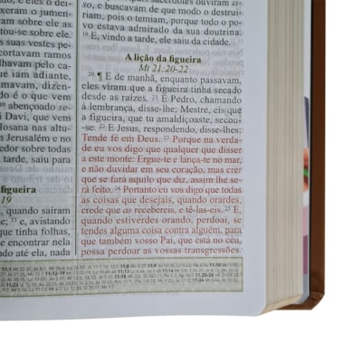 image_1fa0353a-26a5-46b7-9b23-c18a14bf069e