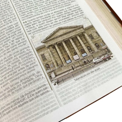 image_41b26245-4768-40ac-b727-1b964a6bbd78