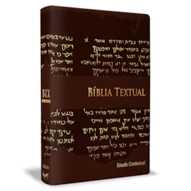 Bíblia de Estudo Textual | Letra Gigante | Capa Marrom Luxo