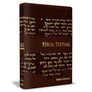 Bíblia de Estudo Textual | Letra Gigante | Capa Marrom Luxo