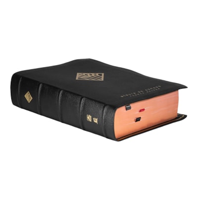 image_c13bc86e-1145-4863-b96f-d52586bbba85