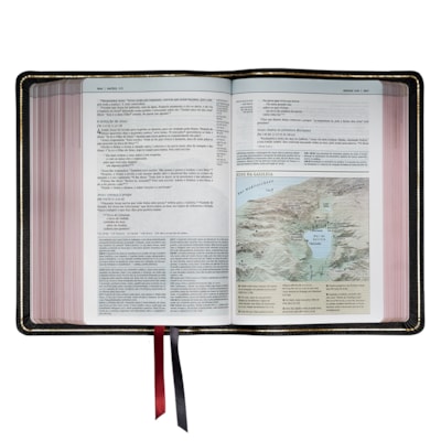 image_49399976-2f7a-417a-affd-9974071ccafc