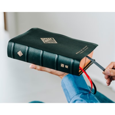 image_cd5cbae2-6932-43ff-bd2b-caa3e0b3075e