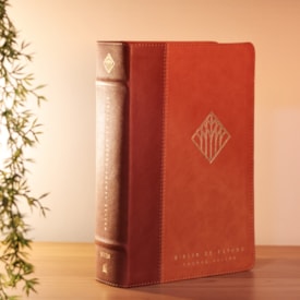 Segunda imagem do produto Bíblia de Estudo Thomas Nelson | NVI | Couro Soft Marrom