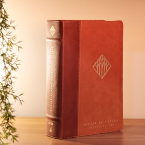 Segunda imagem do produto Bíblia de Estudo Thomas Nelson | NVI | Couro Soft Marrom