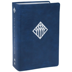 Segunda imagem do produto Bíblia De Estudo Thomas Nelson | NVI | Letra Normal | Capa Luxo Azul