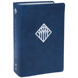 Segunda imagem do produto Bíblia De Estudo Thomas Nelson | NVI | Letra Normal | Capa Luxo Azul