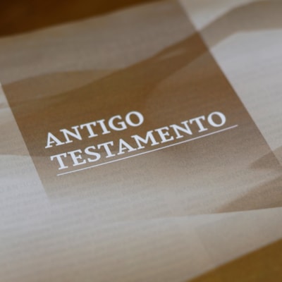 image_a1c4ccbf-5615-411f-a702-22eee59348ec