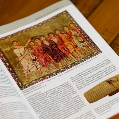 image_426bd008-bf51-481a-a674-f01146f4adae