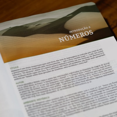 image_cc257a5b-1cbe-49b4-a3c7-27b2ae50680e