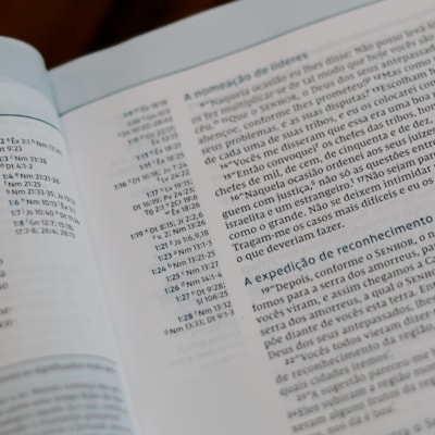 image_a28c3d97-5ba0-49a2-8467-88e1095cc86f