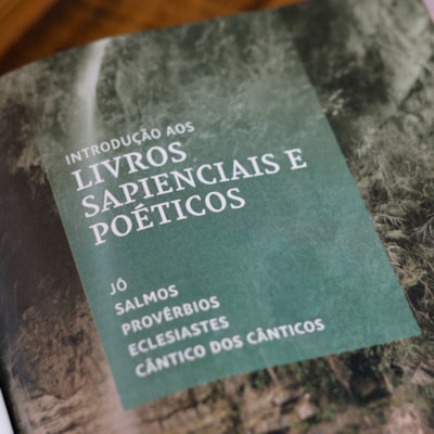 image_a5ce584c-a896-4402-a594-6f96f60f1b17