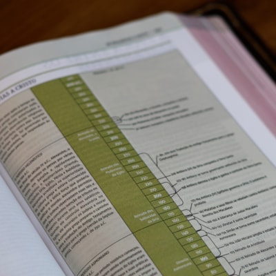 image_4969c5c8-a73f-4d0a-a63f-9b339d331734