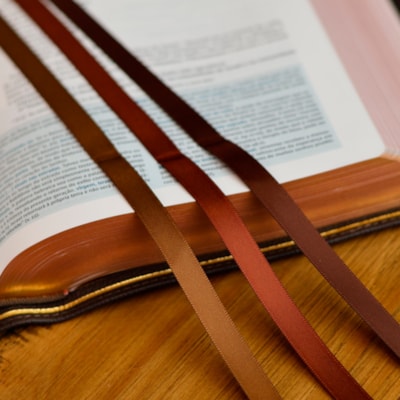 image_a7a9d665-6c66-48ec-bca0-23104836e25a